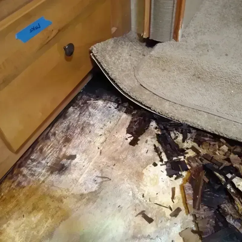 Wood Floor Water Damage in Saint Charles, MI